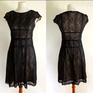 Adrianna Papell Lace fitted vintage lace shift dress